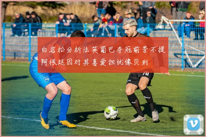 白岩松分析法英葡巴夺冠前景不提阿根廷因对其喜爱担忧像贝利