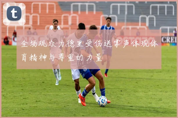 全场观众为德里受伤送掌声体现体育精神与尊重的力量